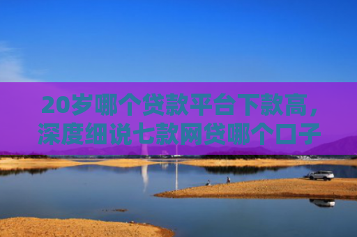 20岁哪个贷款平台下款高，深度细说七款网贷哪个口子下款率高