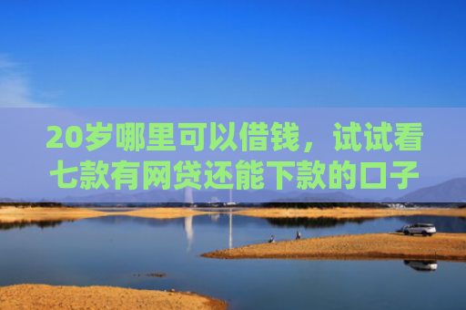 20岁哪里可以借钱，试试看七款有网贷还能下款的口子