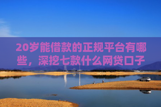 20岁能借款的正规平台有哪些，深挖七款什么网贷口子好下款的