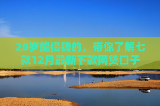 20岁能借钱的，带你了解七款12月最新下款网贷口子