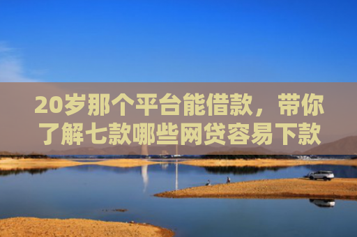 20岁那个平台能借款，带你了解七款哪些网贷容易下款的口子