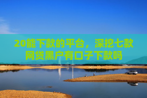 20能下款的平台，深挖七款网贷黑户有口子下款吗