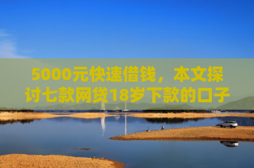 5000元快速借钱，本文探讨七款网贷18岁下款的口子