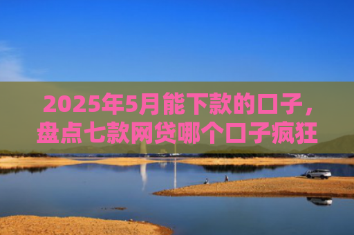 2025年5月能下款的口子，盘点七款网贷哪个口子疯狂下款