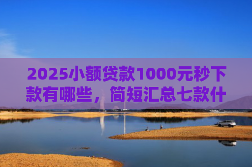 2025小额贷款1000元秒下款有哪些，简短汇总七款什么网贷秒下款新口子