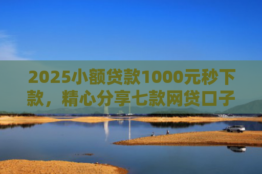 2025小额贷款1000元秒下款，精心分享七款网贷口子怎么填下款高