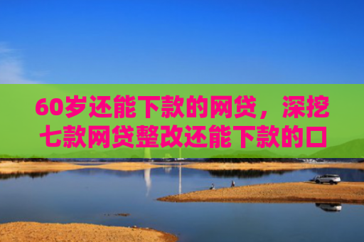 60岁还能下款的网贷，深挖七款网贷整改还能下款的口子