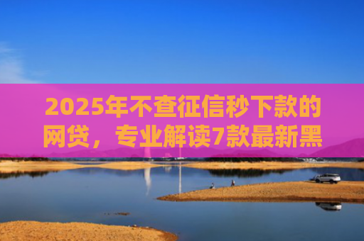 2025年不查征信秒下款的网贷，专业解读7款最新黑户网贷下款口子