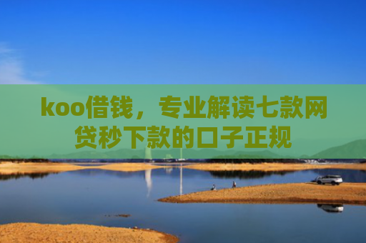 koo借钱，专业解读七款网贷秒下款的口子正规