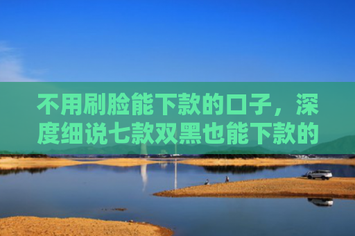 不用刷脸能下款的口子，深度细说七款双黑也能下款的网贷口子