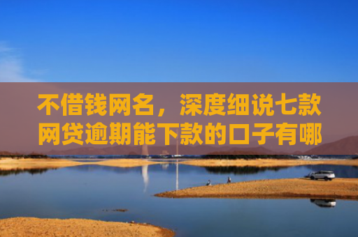 不借钱网名，深度细说七款网贷逾期能下款的口子有哪些