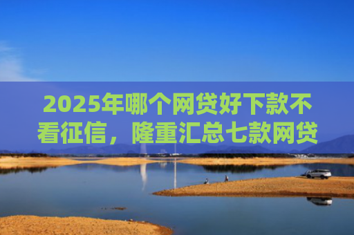 2025年哪个网贷好下款不看征信，隆重汇总七款网贷夜间下款的口子