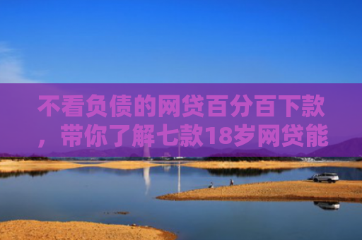 不看负债的网贷百分百下款，带你了解七款18岁网贷能下款的口子2025