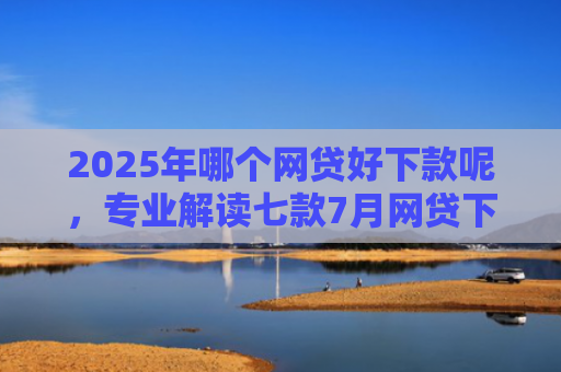 2025年哪个网贷好下款呢，专业解读七款7月网贷下款口子