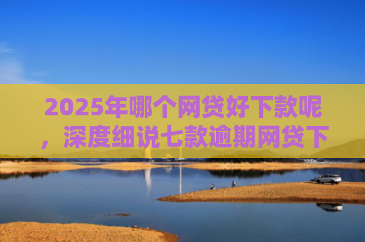 2025年哪个网贷好下款呢，深度细说七款逾期网贷下款的口子