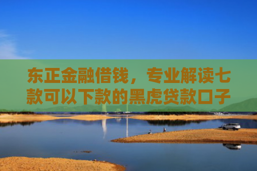 东正金融借钱，专业解读七款可以下款的黑虎贷款口子
