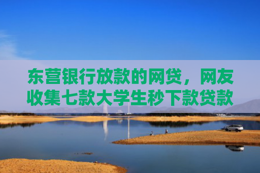 东营银行放款的网贷，网友收集七款大学生秒下款贷款口子6