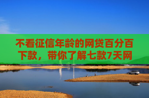不看征信年龄的网贷百分百下款，带你了解七款7天网贷新口子半夜下款