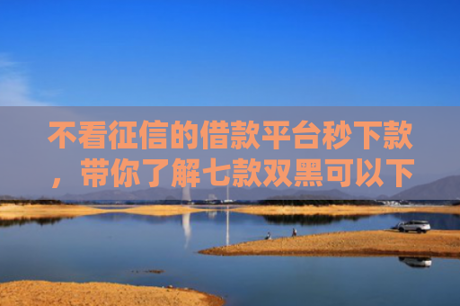 不看征信的借款平台秒下款，带你了解七款双黑可以下款的网贷口子