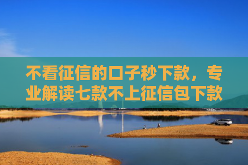 不看征信的口子秒下款，专业解读七款不上征信包下款网贷口子