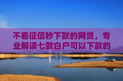 不看征信秒下款的网贷，专业解读七款白户可以下款的网贷口子