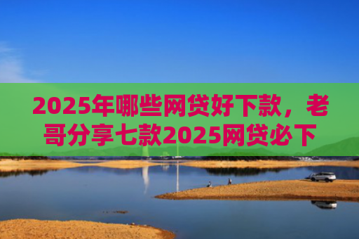 2025年哪些网贷好下款，老哥分享七款2025网贷必下款口子