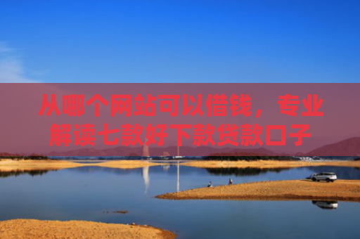 从哪个网站可以借钱，专业解读七款好下款贷款口子