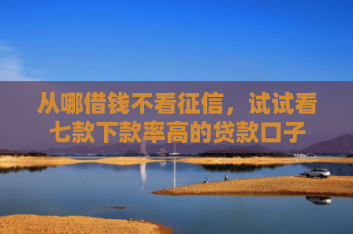从哪借钱不看征信，试试看七款下款率高的贷款口子