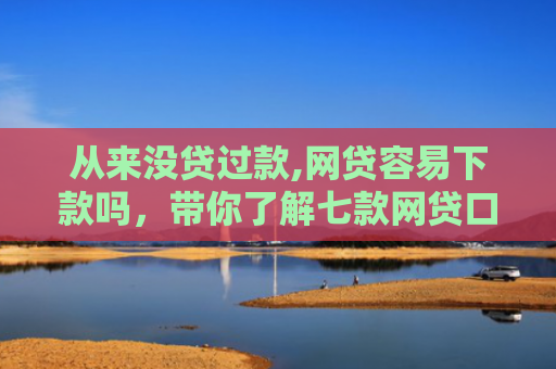 从来没贷过款,网贷容易下款吗，带你了解七款网贷口子好下款的平台有哪些