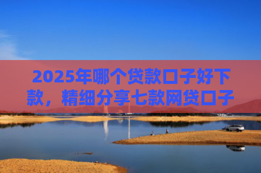 2025年哪个贷款口子好下款，精细分享七款网贷口子直接下款