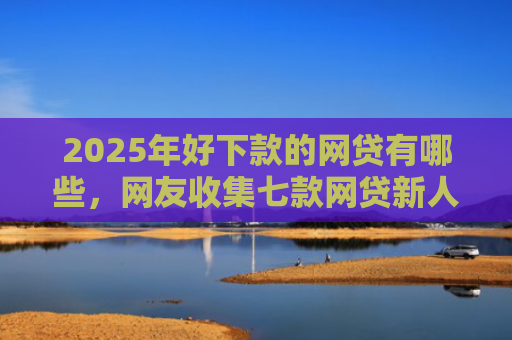 2025年好下款的网贷有哪些，网友收集七款网贷新人下款口子