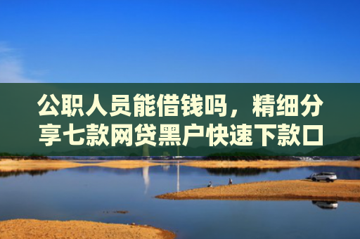 公职人员能借钱吗，精细分享七款网贷黑户快速下款口子