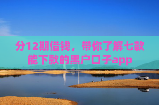 分12期借钱，带你了解七款能下款的黑户口子app