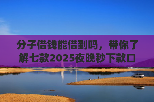 分子借钱能借到吗，带你了解七款2025夜晚秒下款口子app