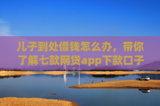儿子到处借钱怎么办，带你了解七款网贷app下款口子