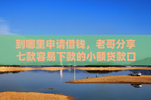 到哪里申请借钱，老哥分享七款容易下款的小额贷款口子