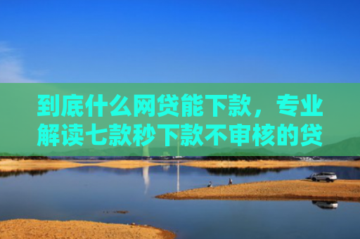 到底什么网贷能下款，专业解读七款秒下款不审核的贷款口子