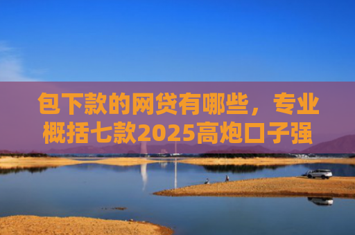 包下款的网贷有哪些，专业概括七款2025高炮口子强制下款网贷