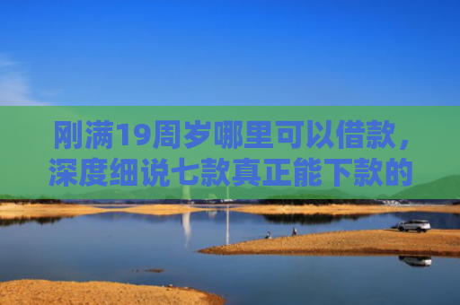刚满19周岁哪里可以借款，深度细说七款真正能下款的黑户网贷