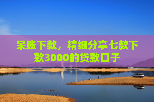 呆账下款，精细分享七款下款3000的贷款口子