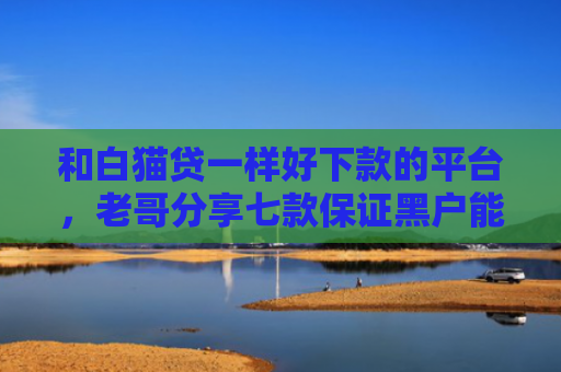和白猫贷一样好下款的平台，老哥分享七款保证黑户能下款的网贷