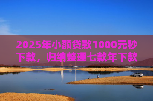 2025年小额贷款1000元秒下款，归纳整理七款年下款的网贷口子