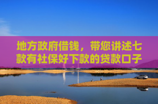 地方政府借钱，带您讲述七款有社保好下款的贷款口子