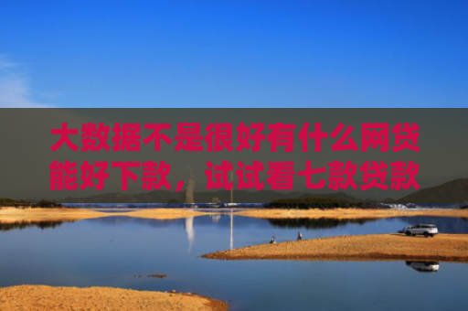 大数据不是很好有什么网贷能好下款，试试看七款贷款口子立马下款