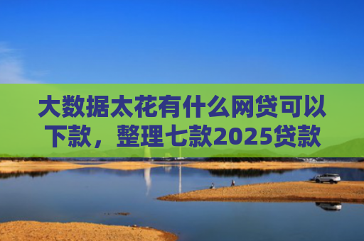大数据太花有什么网贷可以下款，整理七款2025贷款下款口子
