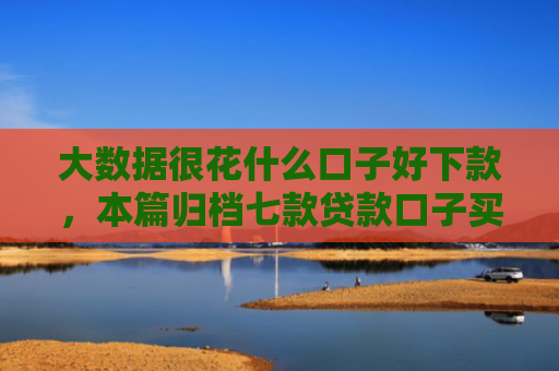 大数据很花什么口子好下款，本篇归档七款贷款口子买下款