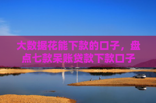 大数据花能下款的口子，盘点七款呆账贷款下款口子