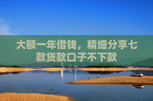 大额一年借钱，精细分享七款贷款口子不下款