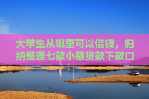 大学生从哪里可以借钱，归纳整理七款小额贷款下款口子