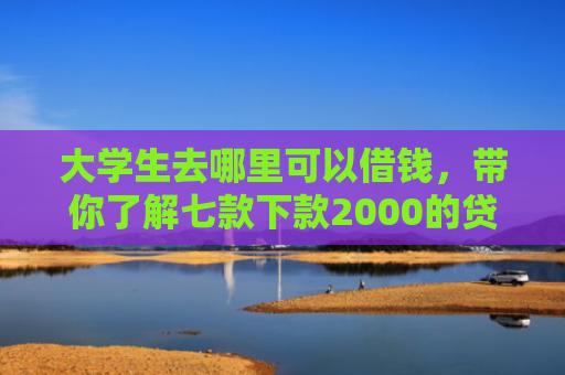 大学生去哪里可以借钱，带你了解七款下款2000的贷款口子